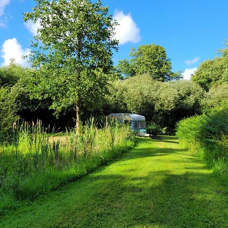 Budget Stay, In Lovely Private Setting With Rustic Charm, Log Burner, Fire Pit, Campers Kitchen & Eco Loo No Bedding Supplied Narberth Buitenkant foto