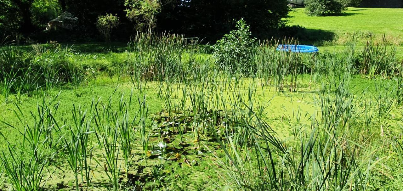 Budget Stay, In Lovely Private Setting With Rustic Charm, Log Burner, Fire Pit, Campers Kitchen & Eco Loo No Bedding Supplied Narberth Buitenkant foto