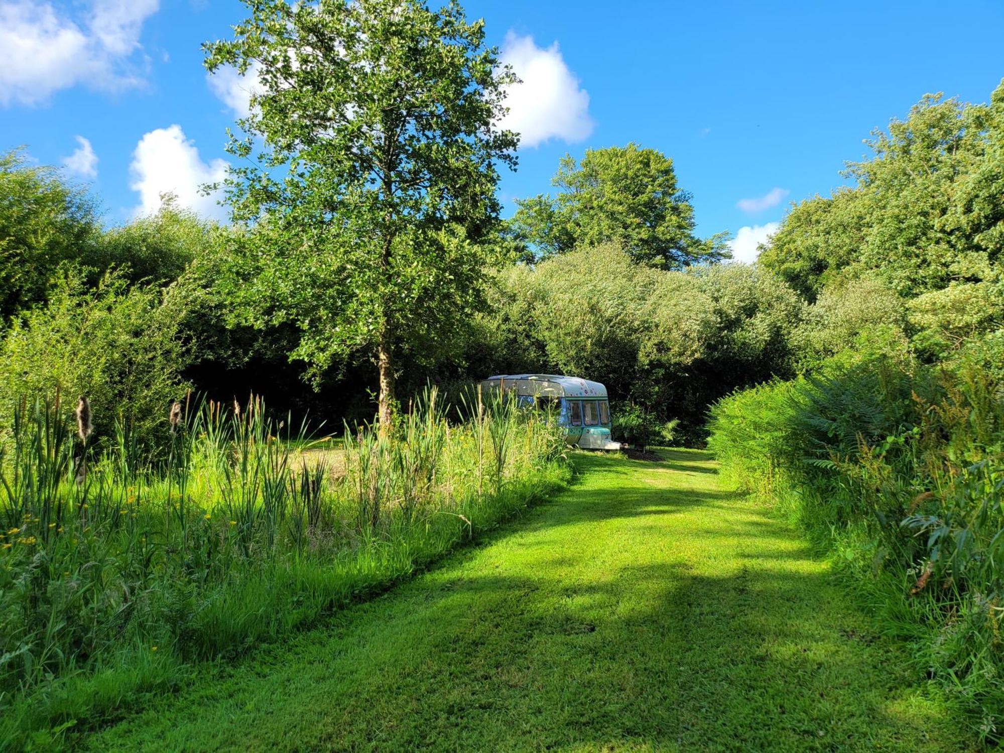 Budget Stay, In Lovely Private Setting With Rustic Charm, Log Burner, Fire Pit, Campers Kitchen & Eco Loo No Bedding Supplied Narberth Buitenkant foto